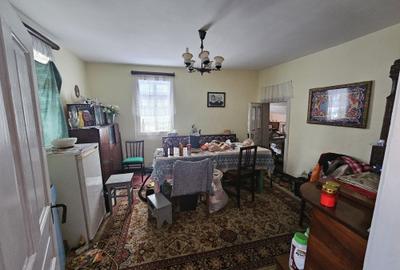 Casă cu 3 camere în Păunești - 1