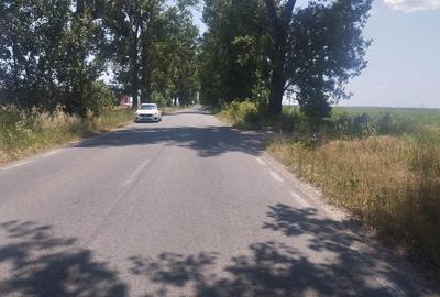 Teren de 6500 mp, în Golești - 2