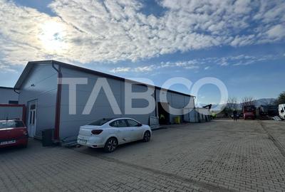 Hala industriala de vanzare acces direct din DnE1 in Cristian Sibiu - 1