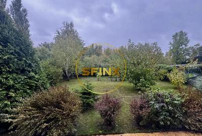 Casa 6 Camere, gradina spectaculoasa, Erou Iancu Nicolae - 10