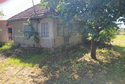 Casa batraneasca -Tufani Prahova Casa batraneasca -Tufani Prahova - 2