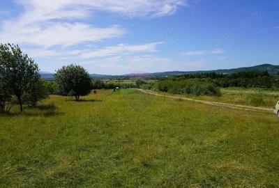 Teren 1,343mp Sighetu Marmatiei / Strada Doboies - 1