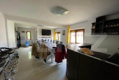 Casa cu potential turistic, 380 mp, FUNDATA - 10
