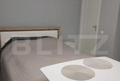 Apartament 1 camera la casa, parcare, 36 mp, gradina, Pet Fr - 18