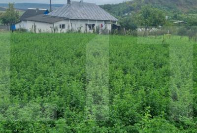 Casa batraneasca + Teren 1.666 mp intravilan, la 8 km de - 1