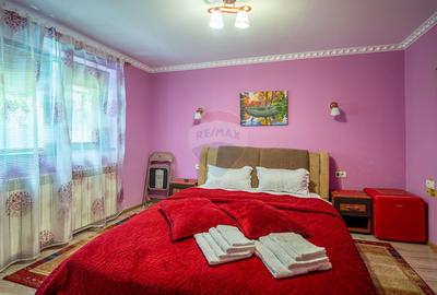 Casă cu 8 camere cu Teren 646 Mp în Valea Alba - 12
