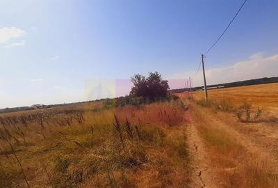 Teren pentru casa/case in Brane?ti pe strada Topora?i - 21