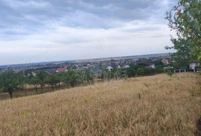 Teren de 10000 mp, în Păulești - 9