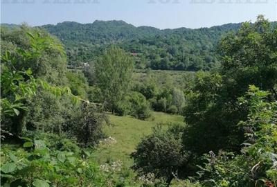 Teren 11230 m.p. Conac - necesita renovare - 1