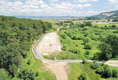 Teren de 5500 mp, în Cristian