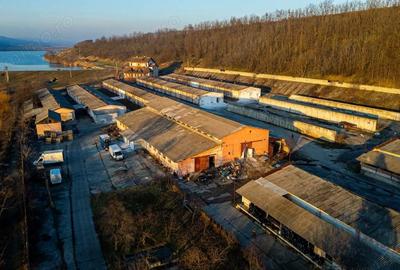 Spațiu comercial, de 50,000 mp, în Horgești - 8