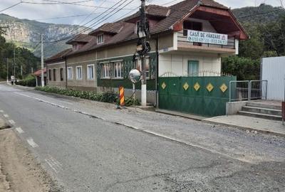 Casă individuală cu 9 camere cu Canalizare în Pecinișca - 1