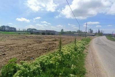 Teren de 5000 mp, în Balș - 2