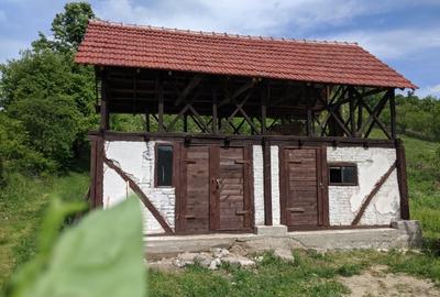 Vand proprietate in suprafata totala de 4283 mp in comuna Cotmeana - 5