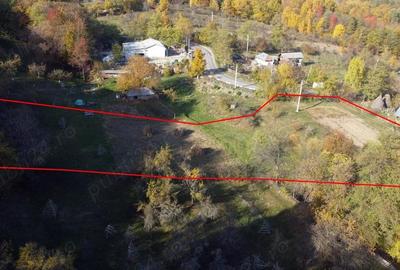 Teren de 5404 mp, în Vernești - 12