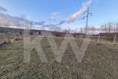 Teren de vanzare – 2.106 mp, agricol extravilan, Calinis, Rasinari - 5