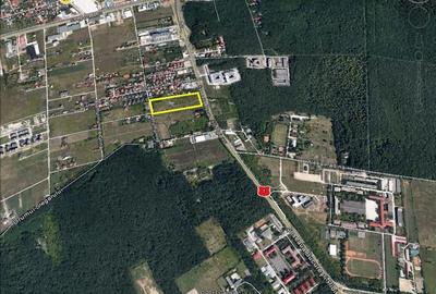 Teren de 17500 mp, în Nord