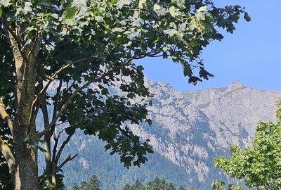 Vila cu vedere la Muntii Bucegi - 560 mpc si 963 mp teren - Zamora - 5