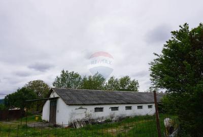 Teren Construcții intravilan de 10941 mp, în Sud-Est - 3