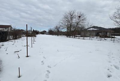 Teren de 1569 mp, în Cornetu - 6