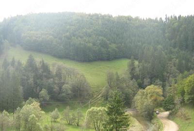 Teren de 13816 mp, în Vama Buzăului - 9