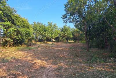 Casa cu anexe gospodaresti si teren aferent, 36 ari. - 5