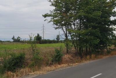 Teren intravilan 4.800 mp – langa Autostrada Pitesti - SuperNova - 3