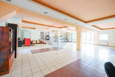 Spațiu industrial, de 500 mp, în Vest - 8