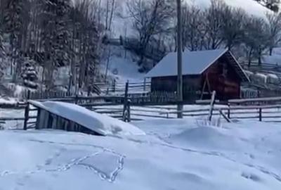 Teren de 6000 mp, în Ortoaia - 3