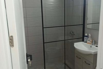 Spital -apartament 2 camere de inchiriat - 4