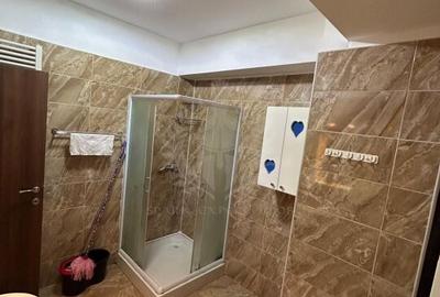 2 CAMERE // VORNICEI VEST //BALCON // PET FRIENDLY - 13