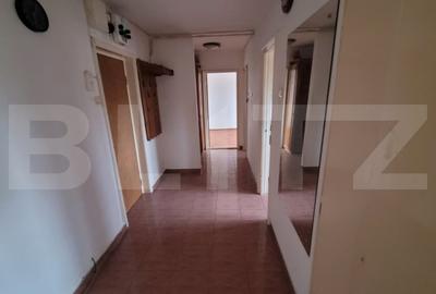 Birou, de 55 mp, în Brazda lui Novac - 5