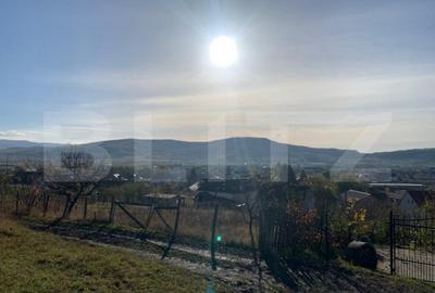 Teren de 10000 mp, în Unirea