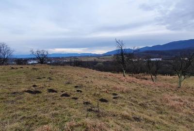 Teren de 1255 mp, în Cisnădioara - 4