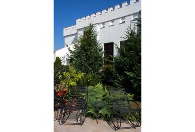 REV2000904 Vila spectaculoasa - zona Cernica REV2000904 Vila spectaculoasa - zona Cernica - 18