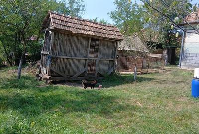 Casă cu 4 camere în Soporu de Câmpie - 6