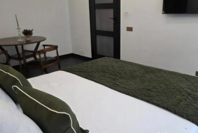 Garsonieră, mobilată în Ultracentral - 2