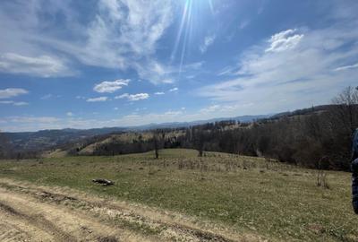 Spațiu comercial, în Central - 6