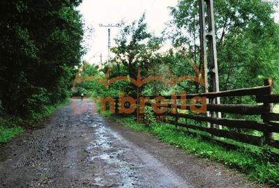 Teren Construcții intravilan de 34201 mp, în Vărșag - 11