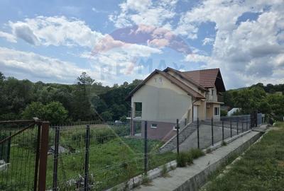 Casa / Vila cu 7 camere de vanzare - 14
