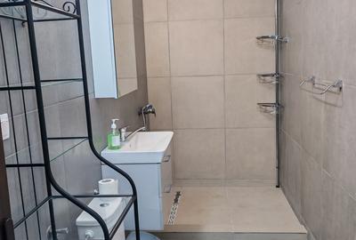 Giulesti, Lacul Morii Sector 6, Propietar - 1