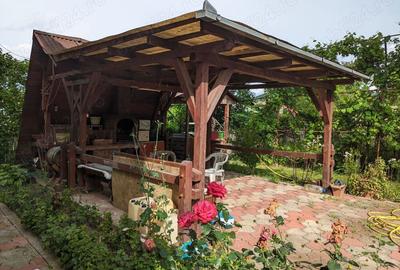 Casa de Vis de vanzare in Brad Spatiu, Liniste si Confort in apropierea Centrului! Casa de Vis de vanzare in Brad Spatiu, Liniste si Confort in apropierea Centrului! - 4