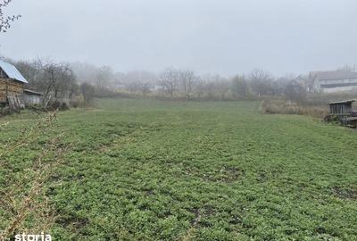 Teren de 2500 mp, în Căianu - 1