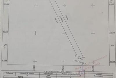 Teren de 5000 mp, în Ciorogârla - 5