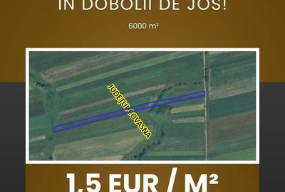 Teren de 6000 mp, în Ilieni - 4
