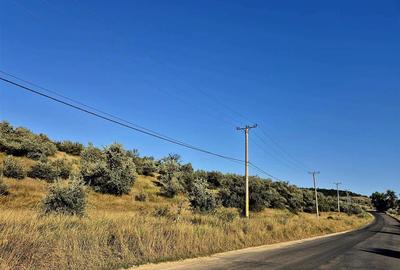 Teren agricol extravilan de 27660 mp, în Lețcani - 3