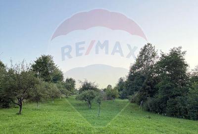 Teren in cea mai turistica localitate din Romania - Breb... - 1