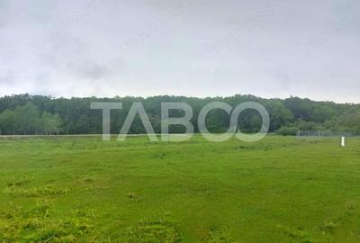 Teren de 712 mp, în Cisnădioara - 1