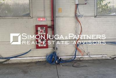 Spațiu comercial, de 632.32000732422 mp, în Someșeni - 9