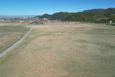 Teren extravilan Rasnov - 18